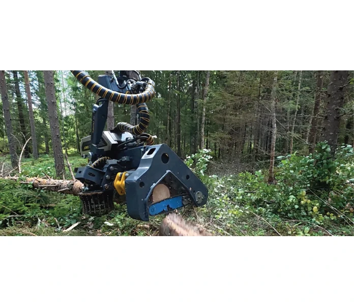 CPT 50 5 5 4 image